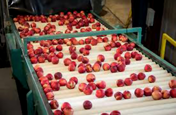 Anār Juice Company